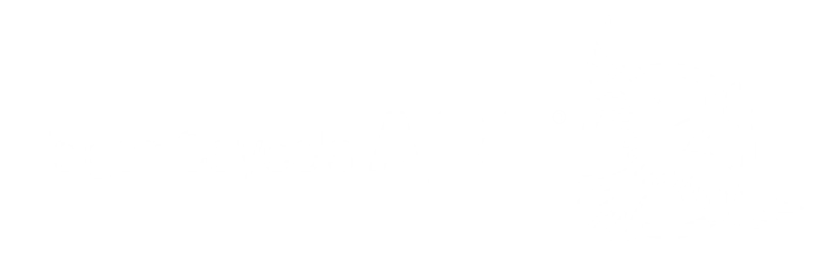 ecare_logo-notag-horizontal-white